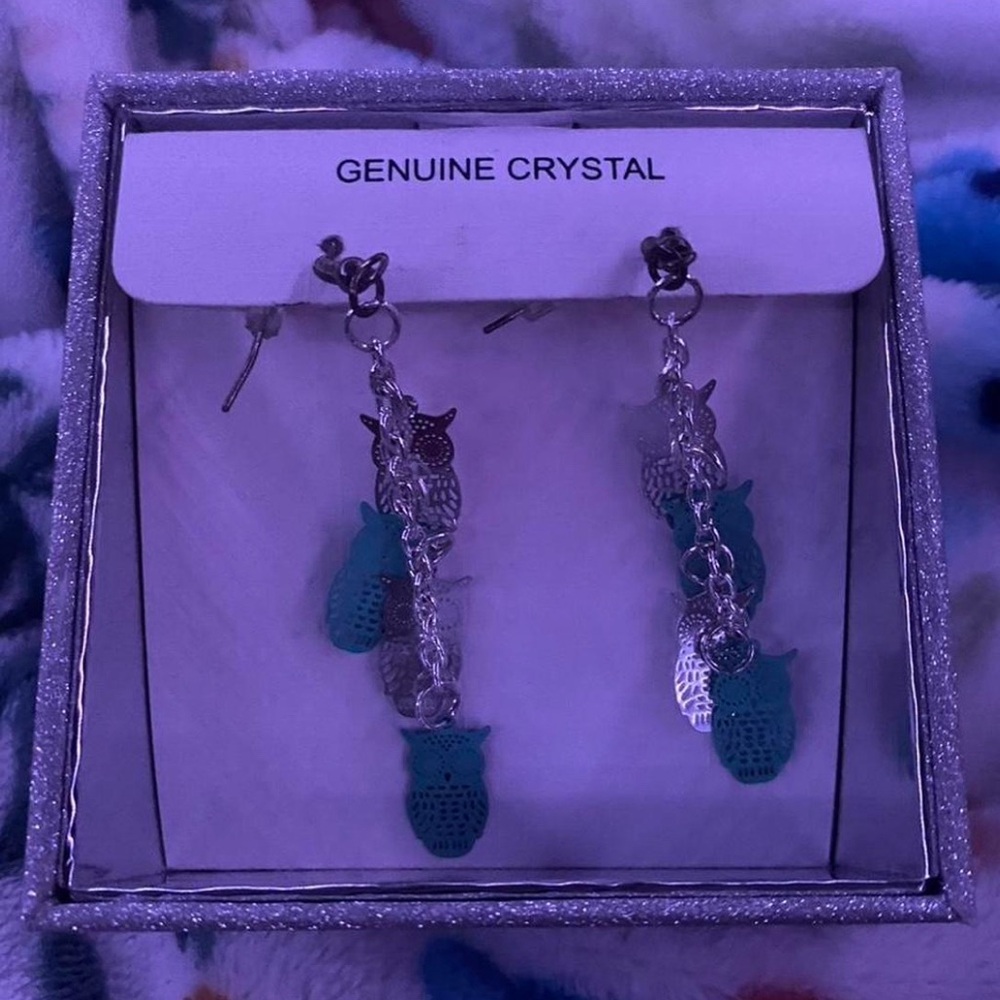 Silver and Blue Owl Earrings